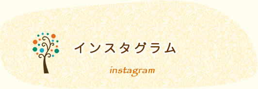 インスタグラム